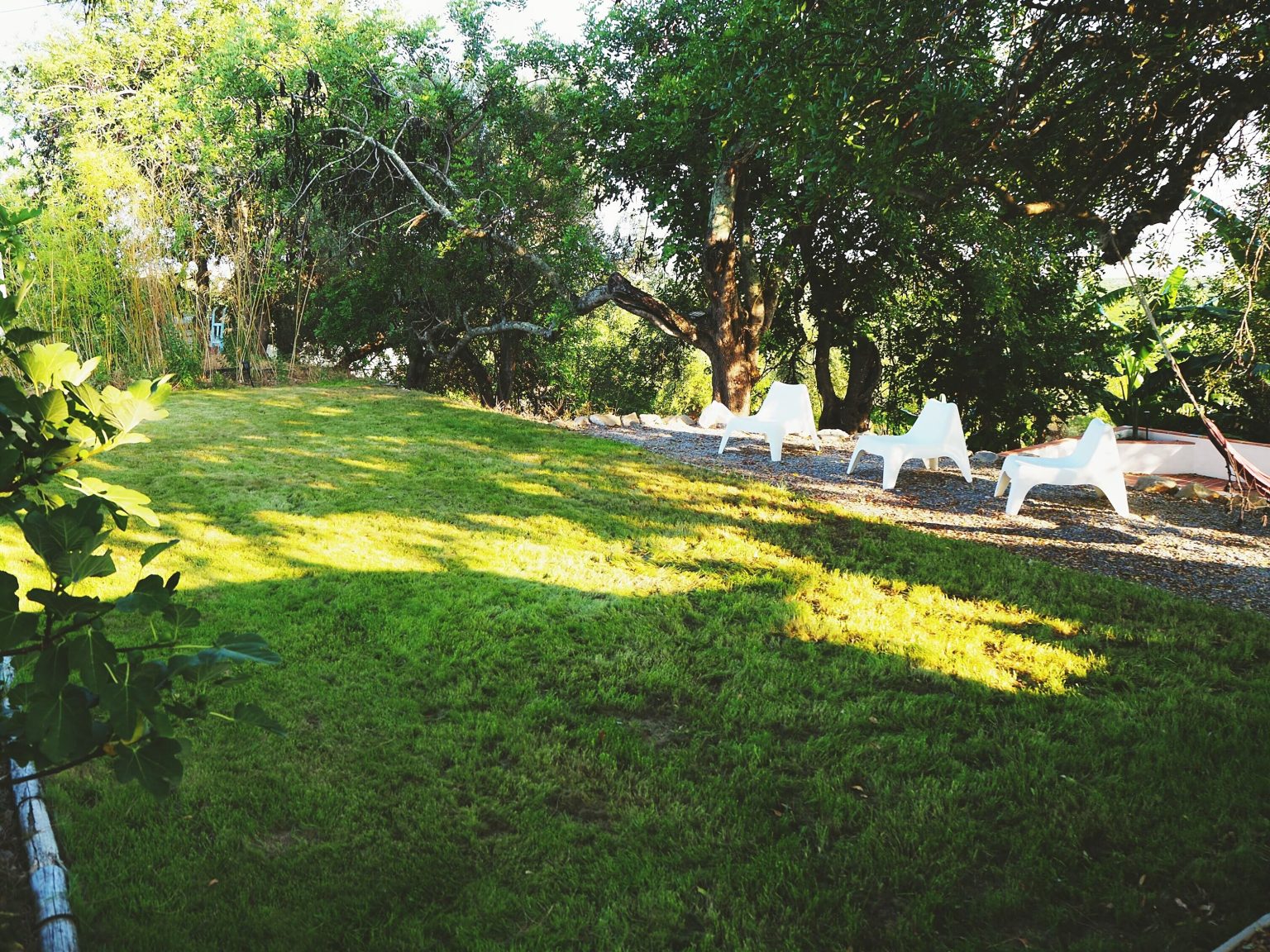 r_jardim-relva_optimized_2000